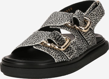 Alohas - Sandalias 'Harper' en gris: frente