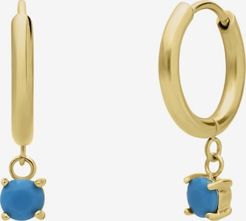Lucardi Earrings 'Klassisch' in Gold: front