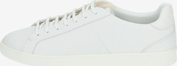 Sneaker bassa di GEOX in bianco