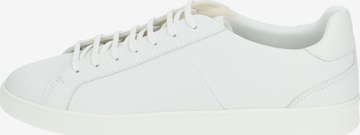 GEOX Sneakers in White