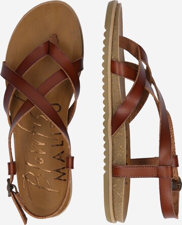 Blowfish Malibu T-Bar Sandals 'Mirenda' in Brown