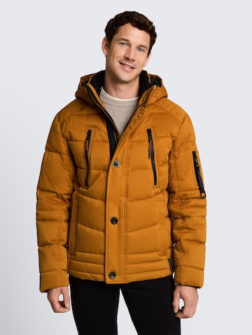 TOM TAILOR Winter jacket in Brown: front