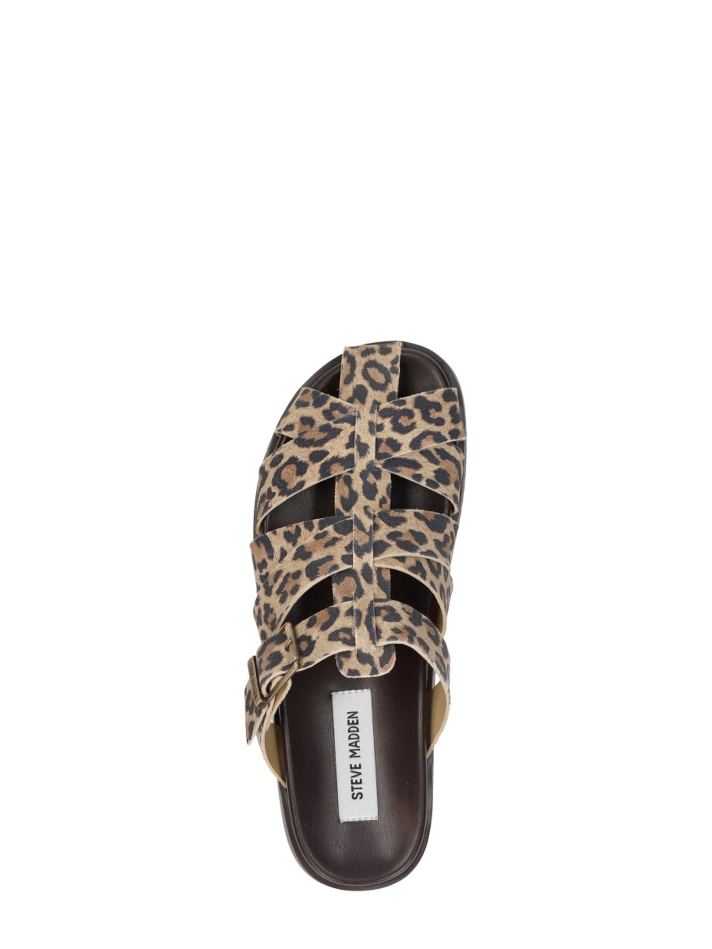 STEVE MADDEN Pantolette 'Mamba'‌‌‌‌‌‌‌‌‌ in Beige