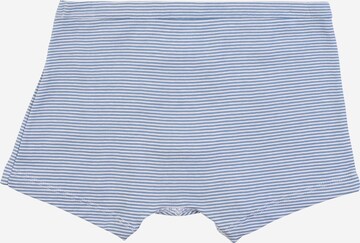 PETIT BATEAU Underpants in Blue