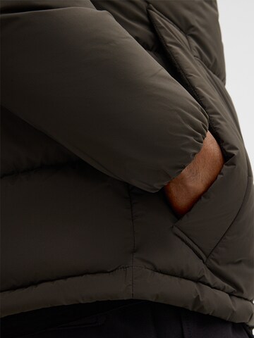 STRELLSON Winter jacket 'Smooth' in Green