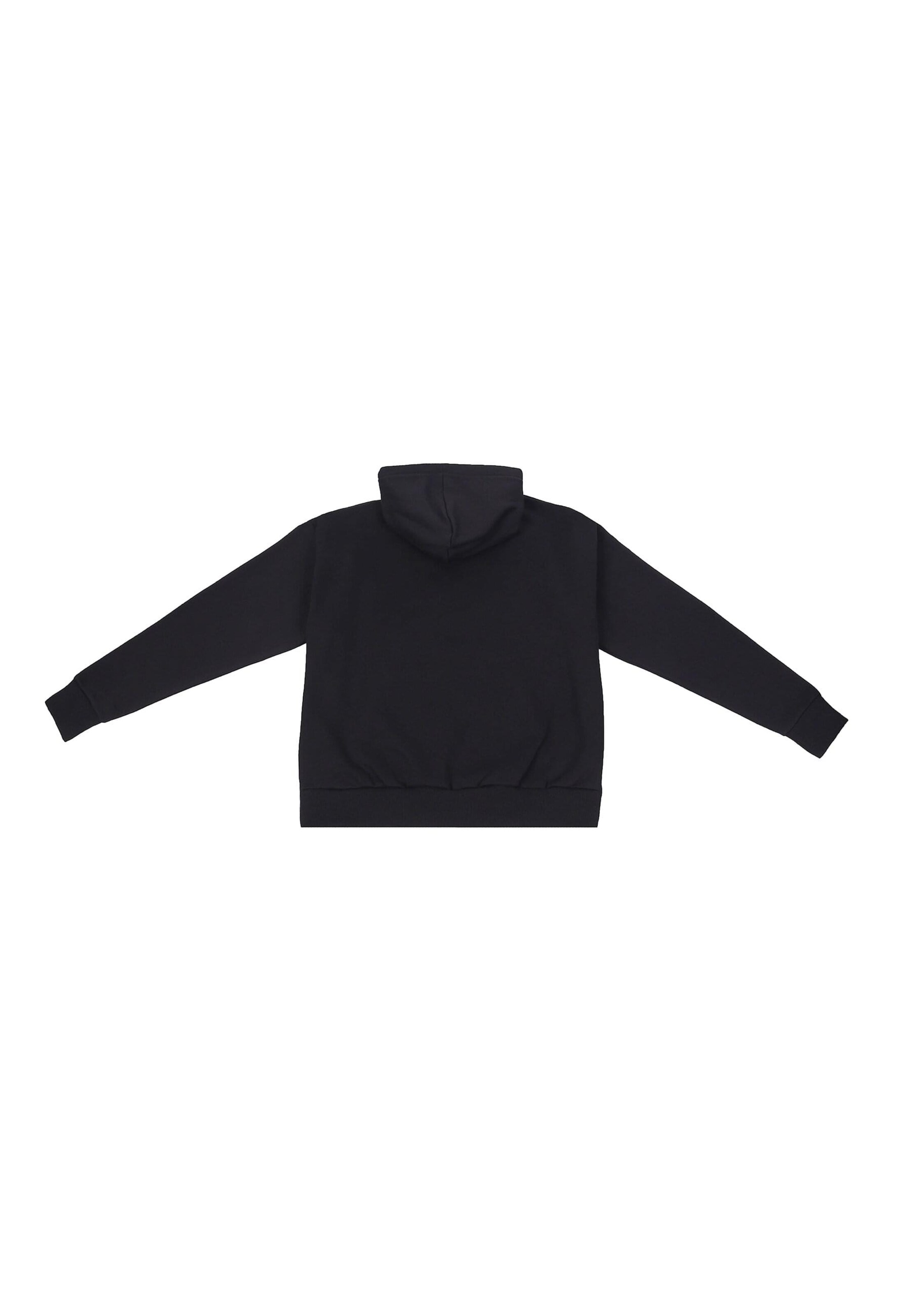 Dropsize Sweatshirt 'EMBO' in Schwarz