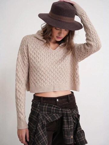 Pullover di MixRay in beige
