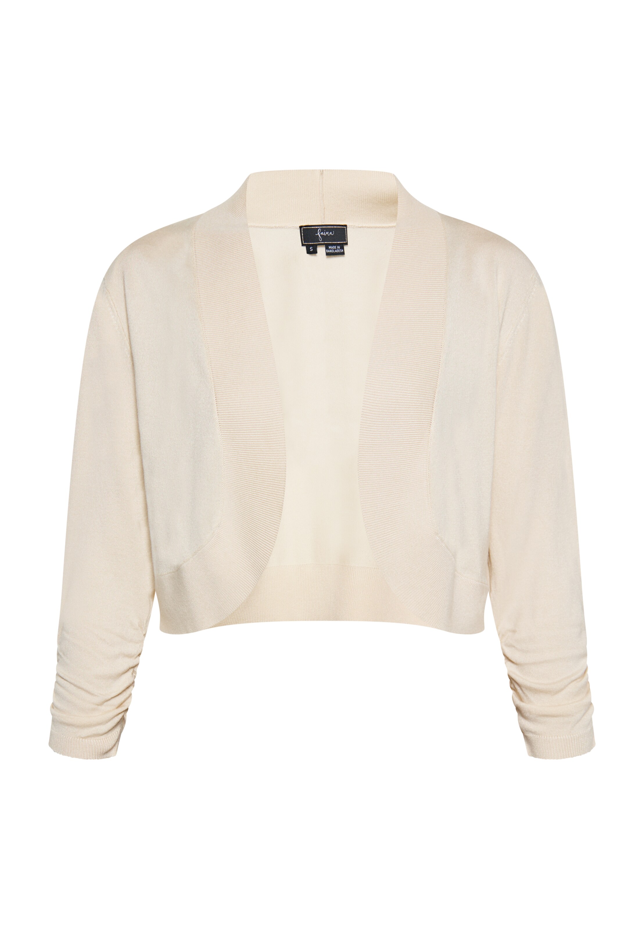 smėlio faina Kardiganas: priekis