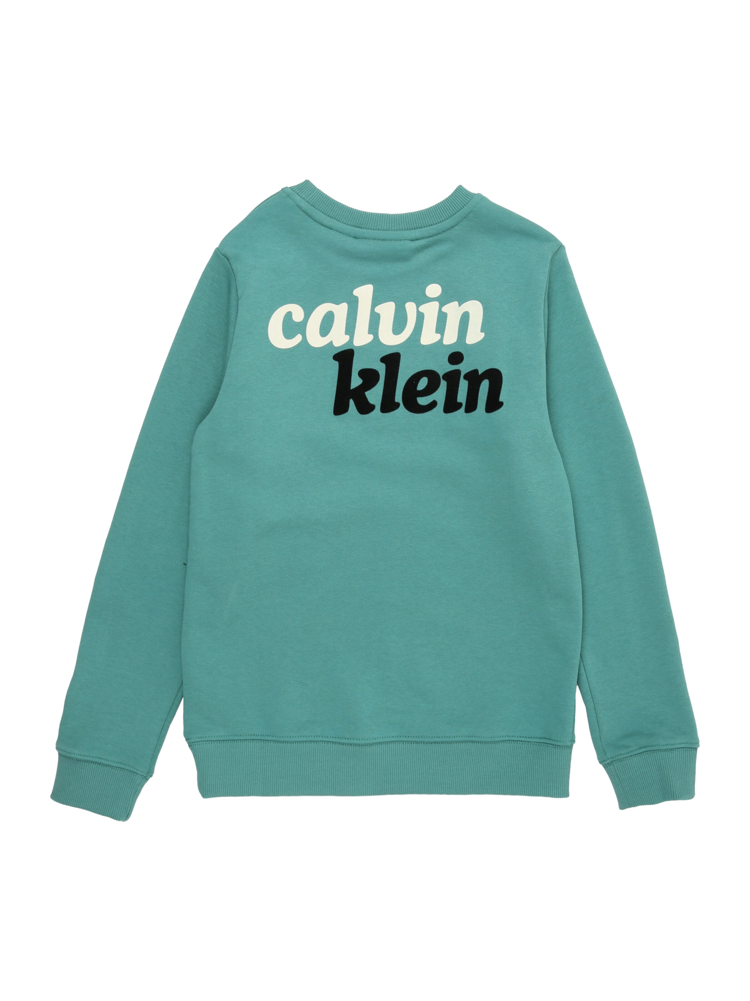 zaļš Calvin Klein Jeans Sportisks džemperis 'SEASONAL'