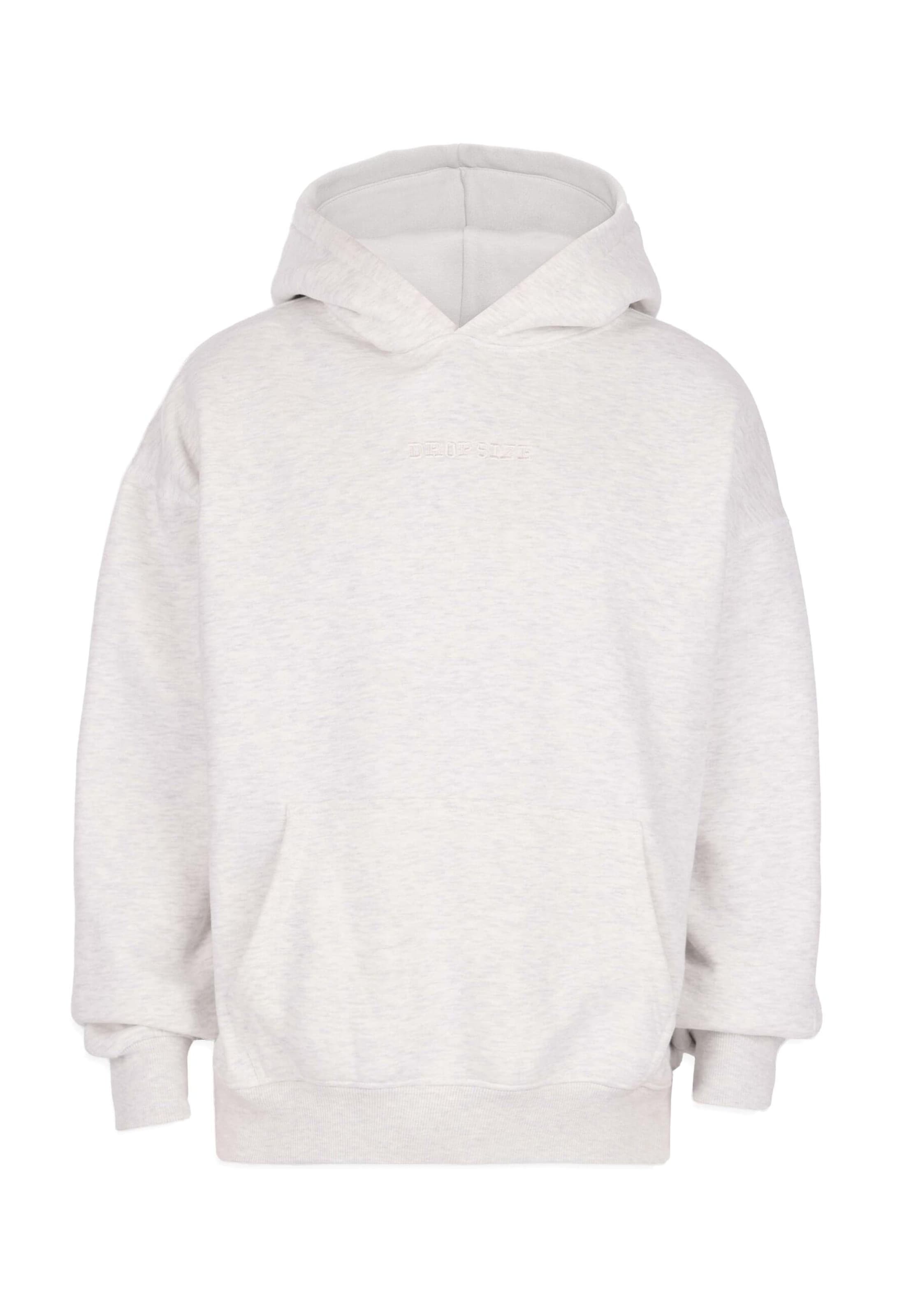 Dropsize Sweatshirt in Grey: front