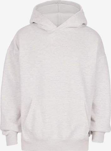 Dropsize Sweatshirt in Grey: front