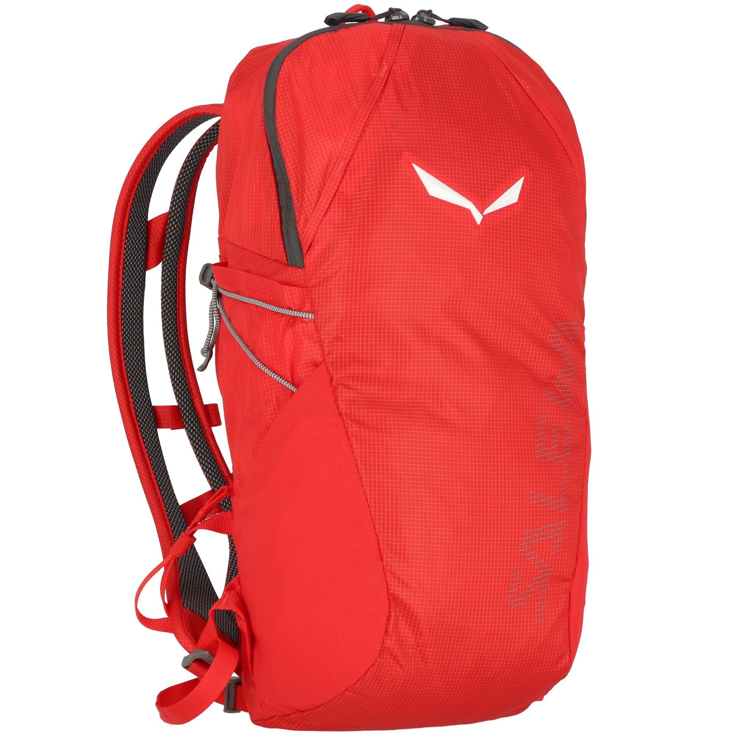 SALEWA Rucksack 'Ultra Train' in Rot