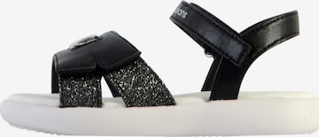 Sandales Calvin Klein en noir : devant