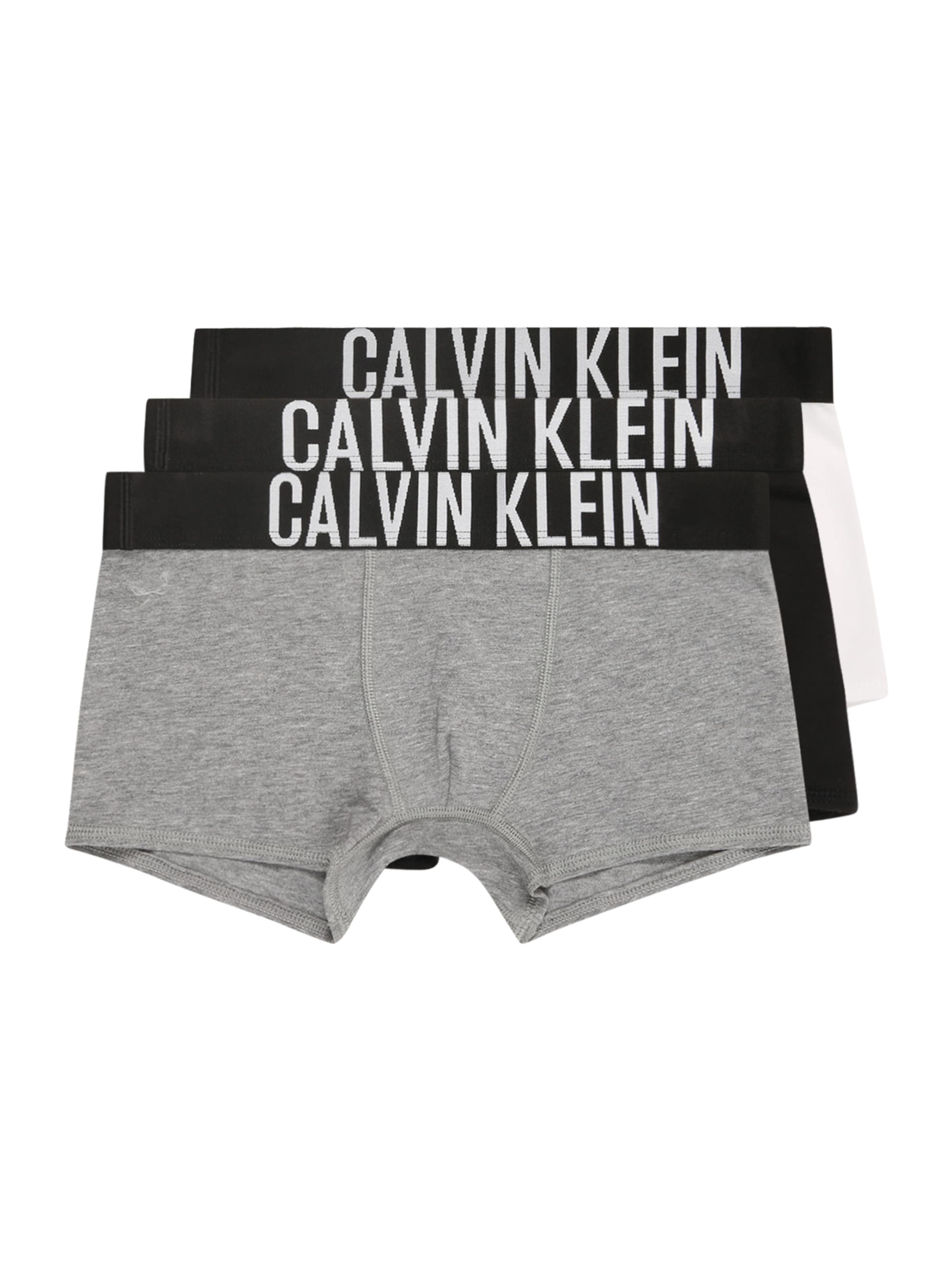 Calvin Klein Underwear Underpants in Grey: front