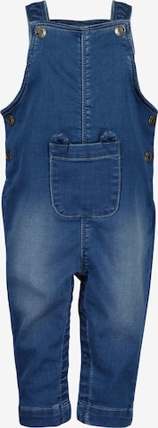 BLUE SEVEN Regular Haalari värissä sininen: etupuoli