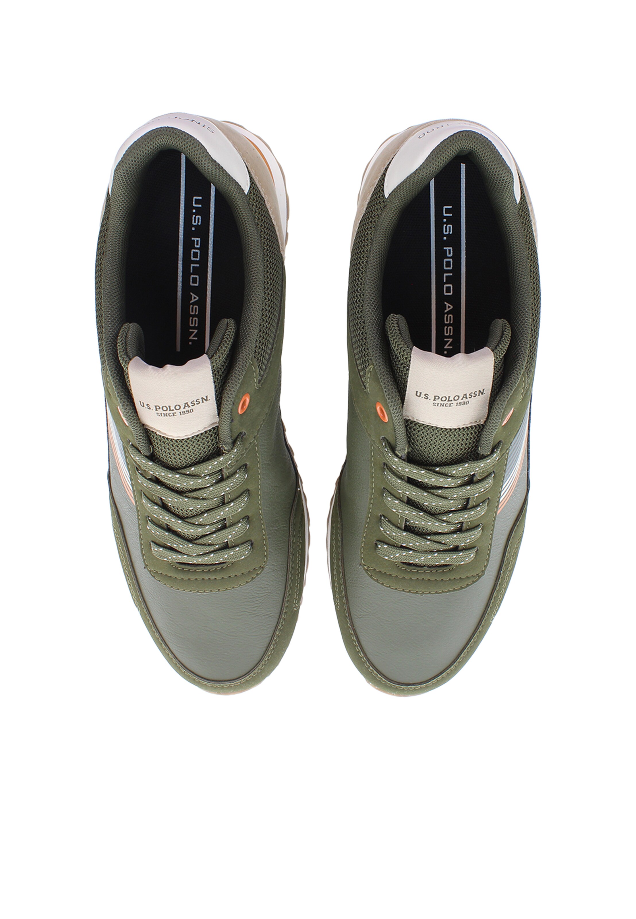 Sneaker bassa di U.S. POLO ASSN. in verde