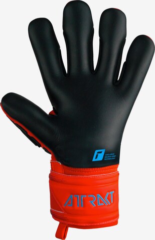 REUSCH Sporthandschoenen 'Attrakt Freegel Silver' in Rood