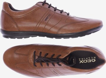 GEOX Sneakers & Trainers in 42 in Brown: front