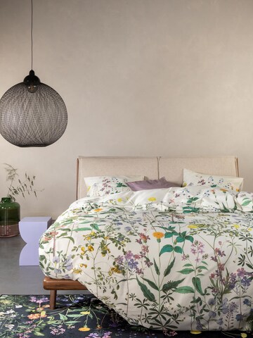 ESSENZA Bettwäsche 'Augustina' in Beige