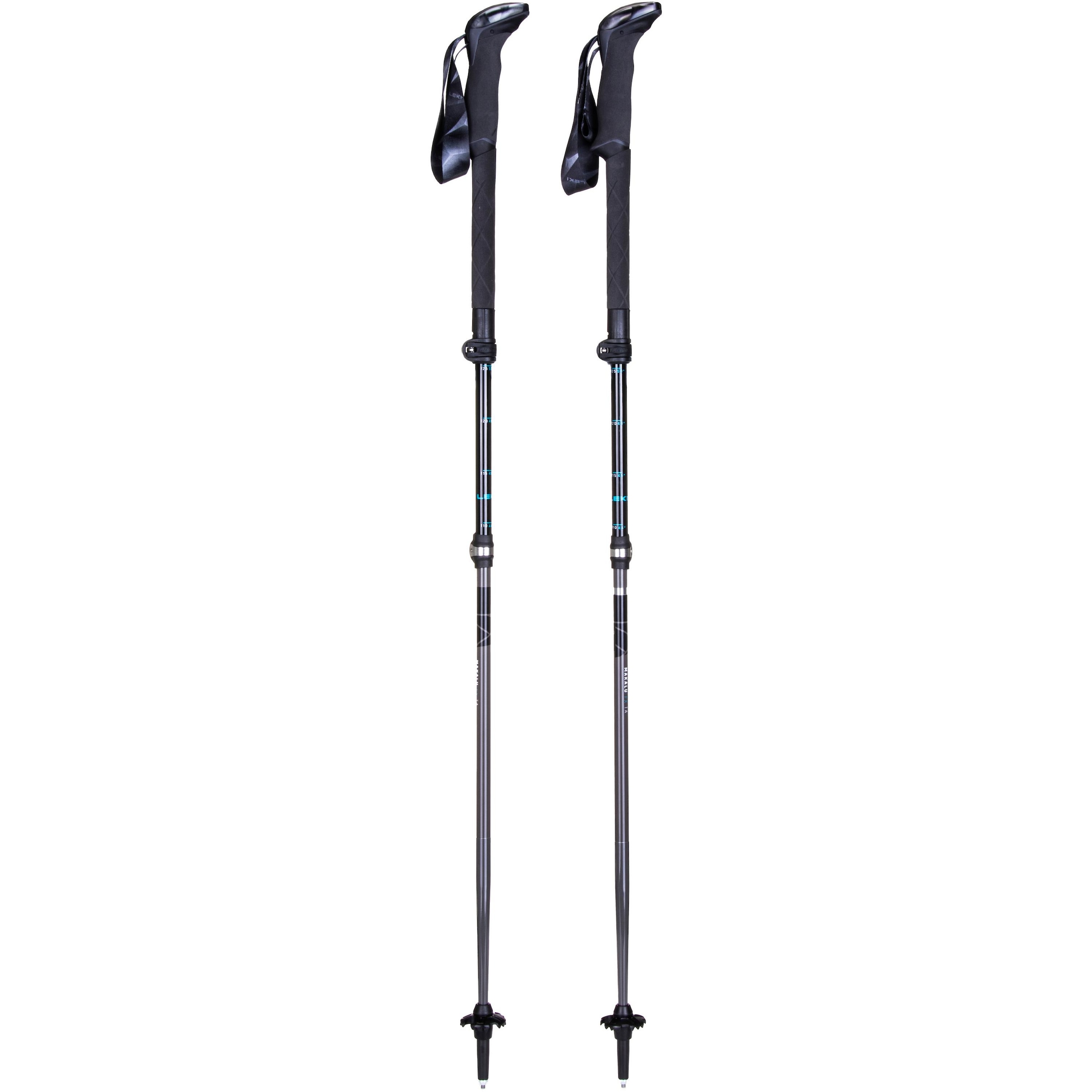 LEKI Stöcke 'Makalu FX TA' in Schwarz: Vorderseite