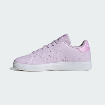 ADIDAS SPORTSWEAR Sneaker 'Advantage Base 2.0' in Lila