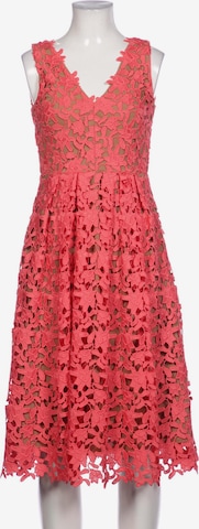 HALLHUBER Kleid XS in Pink: predná strana