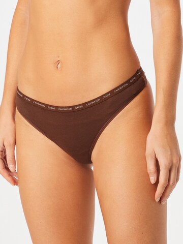 Calvin Klein Underwear Regular Thong in Brown: front