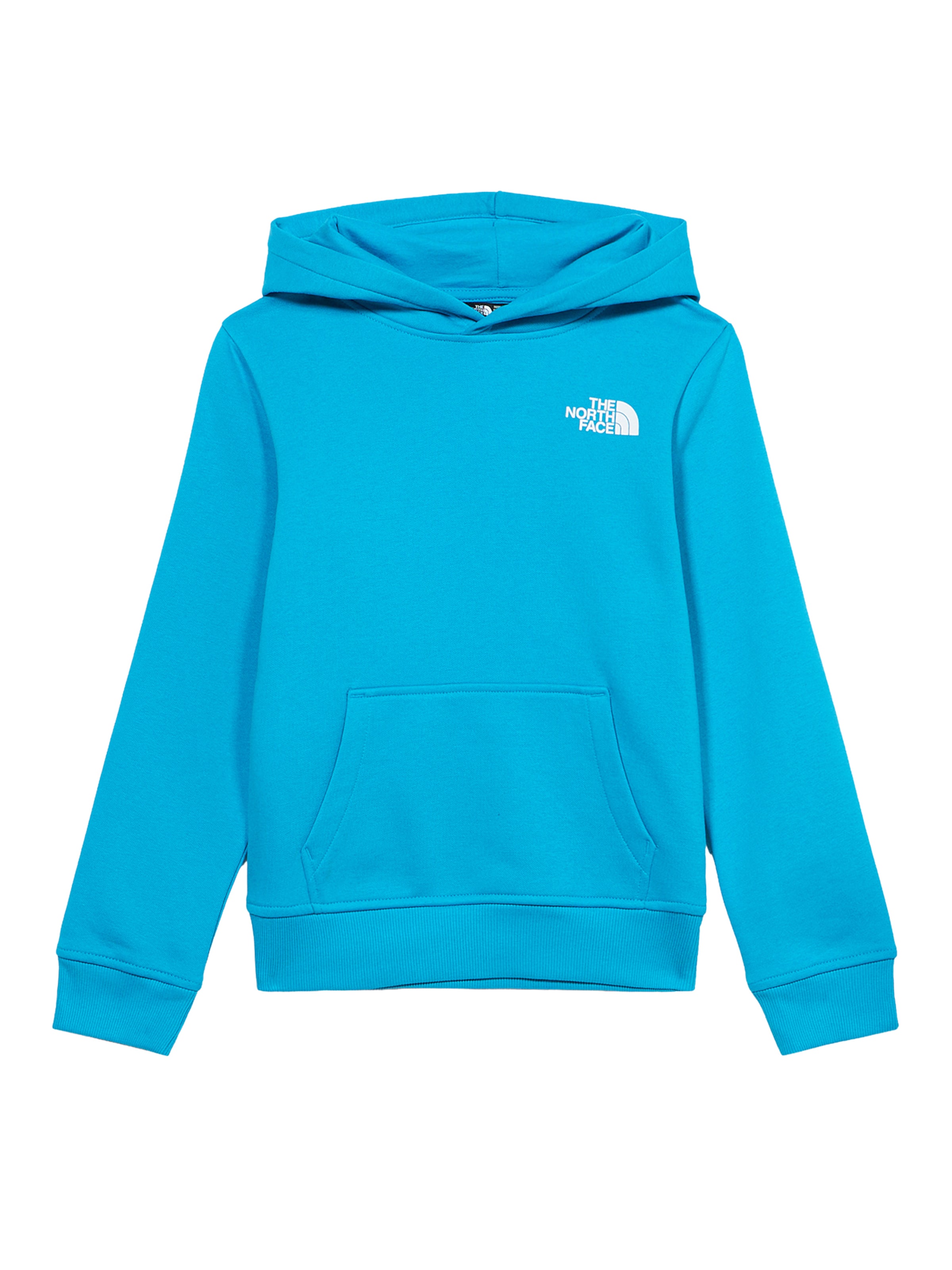 THE NORTH FACE Αθλητική μπλούζα φούτερ 'REDBOX' σε μπλε: μπροστά