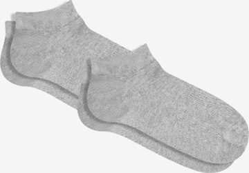 Albero Natur Socks 'Bio-Baumwoll-Sneakersocken Unisex - 2er Pack' in Grey: front