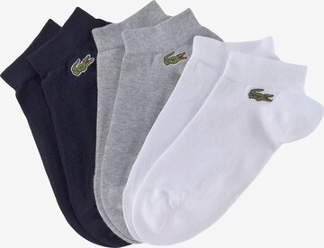 Lacoste Sport Athletic Socks in Grey