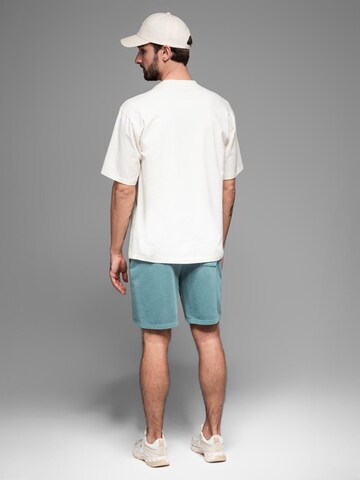 Ombre Loose fit Trousers in Green
