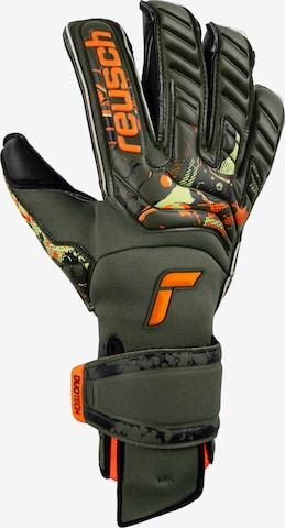 REUSCH Athletic Gloves 'Attrakt Duo Evolution' in Mixed colors: front