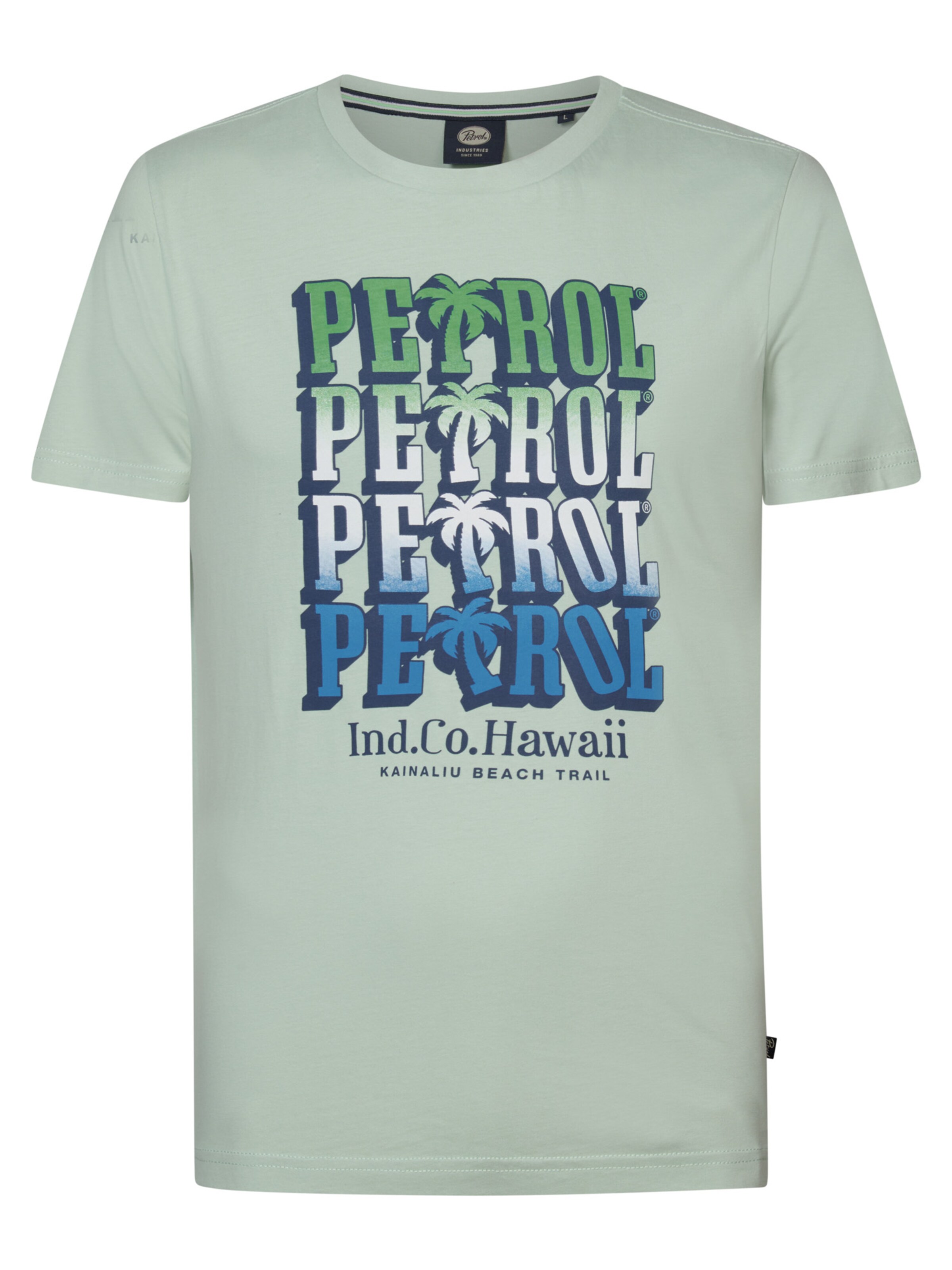 Maglietta 'Radiance' di Petrol Industries in verde: frontale