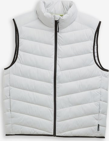 TOM TAILOR DENIM - Chaleco en gris: frente