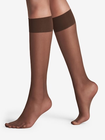 FALKE Knee High Socks 'Pure Matt' in Brown: front