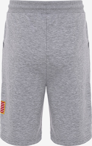 Redbridge Regular Pants 'Plano' in Grey