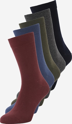 mėlyna BJÖRN BORG Kojinės: priekis