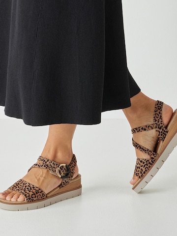 Tamaris Sandals in Brown