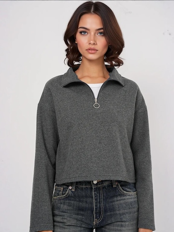 Bigdart Pullover in Grau