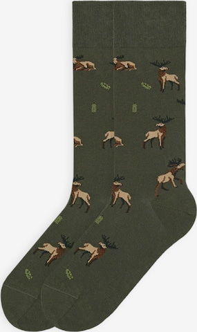 Von Jungfeld Socks 'Best of Icons' in Green: front