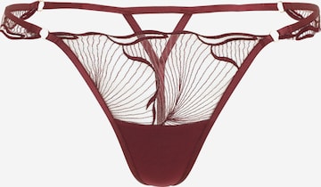 Bluebella Stringit 'Marabel' värissä punainen: etupuoli