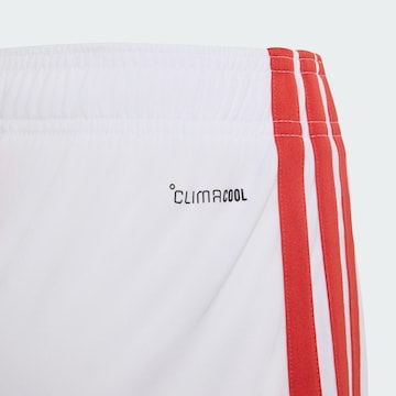 ADIDAS PERFORMANCE Regular Sportshorts 'Kroatien 26' in Weiß