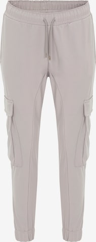 Redbridge Cargo Pants 'Keighley' in Grey: front