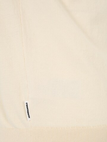Regular fit Pullover 'Glan' di ARMEDANGELS in beige