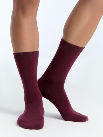 Albero Natur Socks in Red