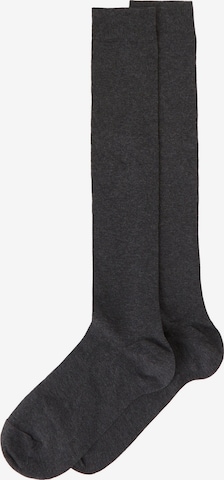 CALZEDONIA Socks in Grey: front