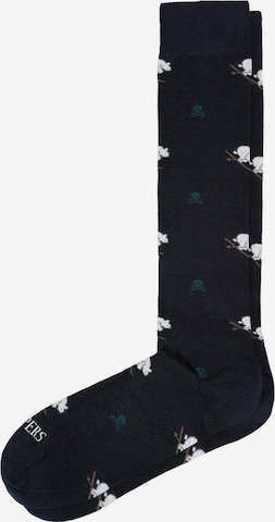 Scalpers Sukat ' ' värissä sininen: etupuoli