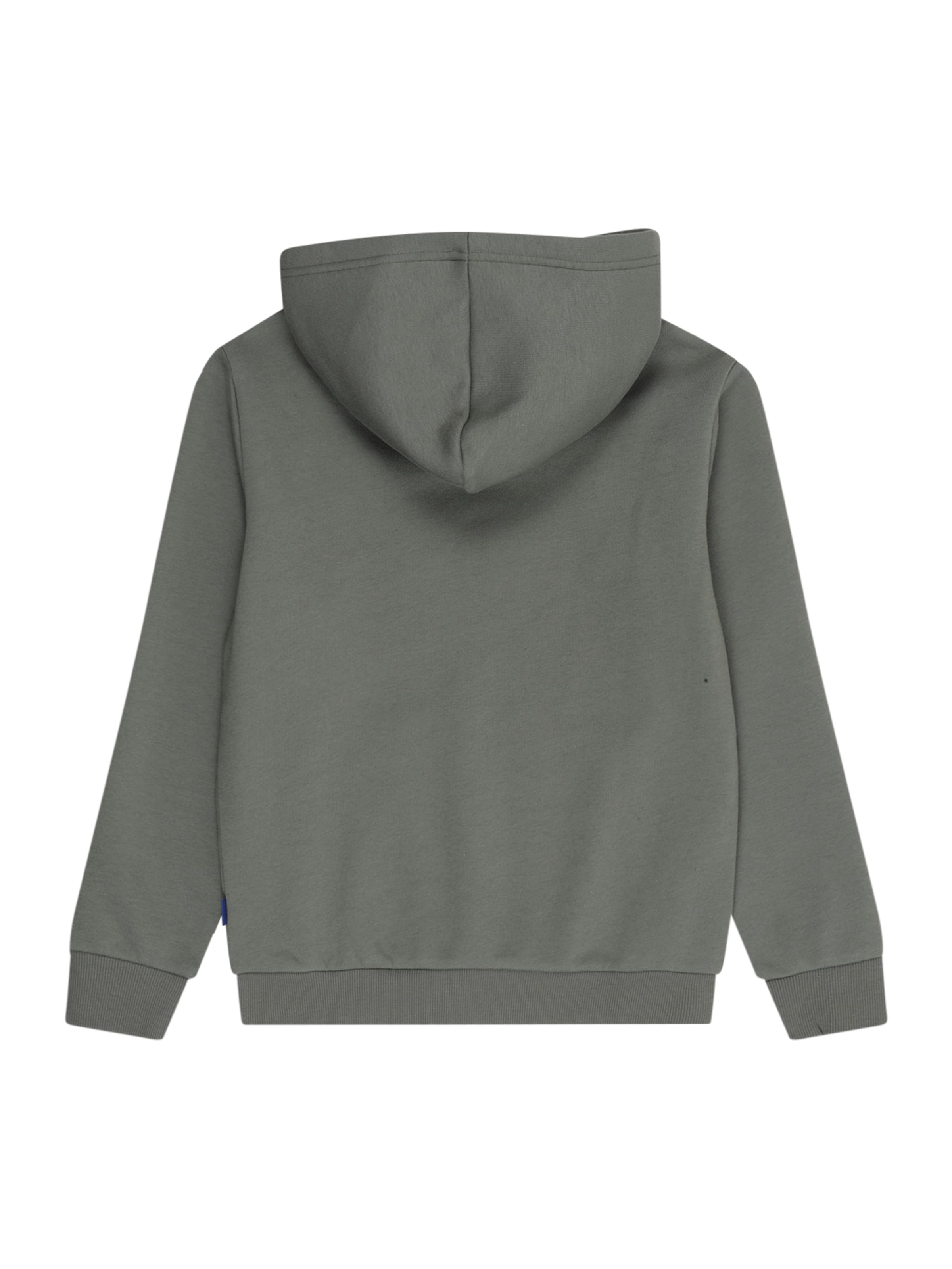 Only & Sons Junior Суичър 'OSJCeres' в зелено