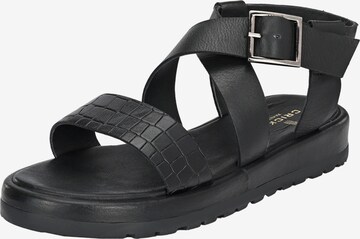 Crickit Sandals 'JADA' in Black: front