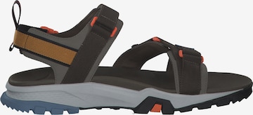 TIMBERLAND Sandal 'Garrison' i grå